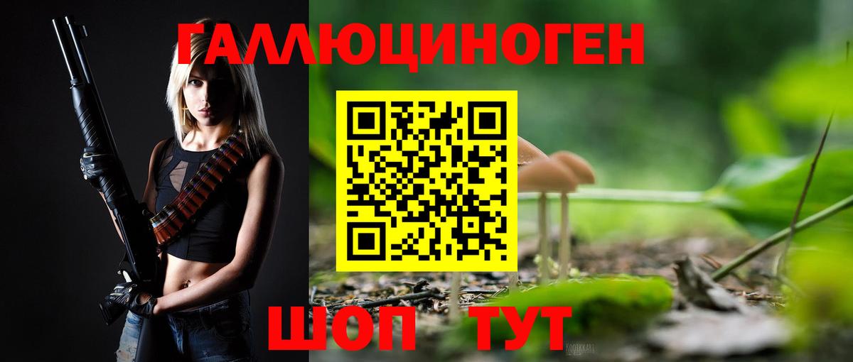 Ессентуки  Галлюциногенные грибы Psilocybine cubensis  Вход с VPN 